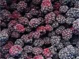 Bayas y frutas congeladas; mezclas de bayas y frutas, así como mezclas para compota. - foto 1