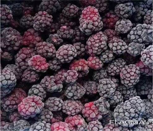 Bayas y frutas congeladas; mezclas de bayas y frutas, así como mezclas para compota.