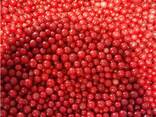 Bayas y frutas congeladas; mezclas de bayas y frutas, así como mezclas para compota. - foto 9