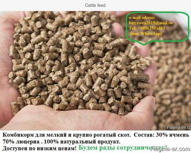 Cattle feed