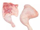 Frozen Chicken Drumstick - фото 1