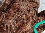 Copper Wire Scraps 99% Best Quality Millbery Cheap Scraps - foto 3