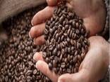 Dried Organic Arabica Coffee Beans at Wholesale Price - фото 1