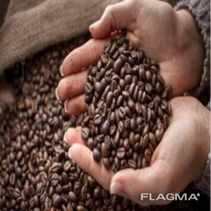 Dried Organic Arabica Coffee Beans at Wholesale Price