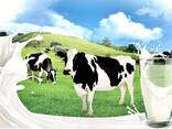 Drink milk powder 26% fat content - фото 12