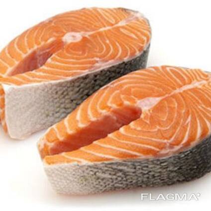 Fresh salmon fish