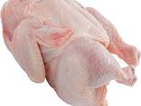 Frozen Whole Chicken Halal - фото 1