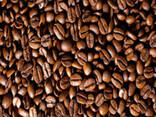 Dried Organic Arabica Coffee Beans at Wholesale Price - фото 3