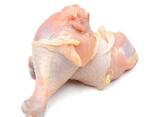 Halal Frozen Chicken Drumstick - фото 1
