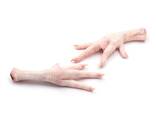 Halal Frozen Chicken Feet - фото 2