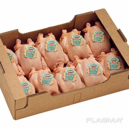 High Quality Halal Frozen Whole Chicken