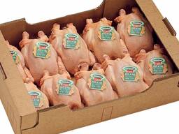 High Quality Halal Frozen Whole Chicken