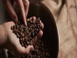 Premium Arabica Coffee Bean 100% Robusta Bulk Sales 20kg Mellow Taste Roasted coffee beans - фото 2
