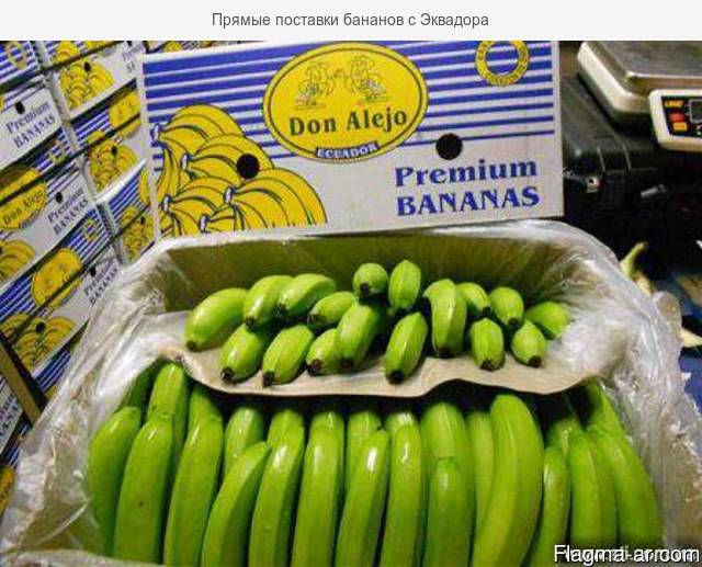 Прямые поставки бананов с Эквадора