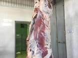 Wholesale beef and lamb from the manufacturer - фото 3