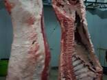 Wholesale beef and lamb from the manufacturer - foto 5