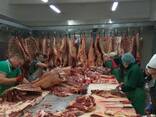 Wholesale beef and lamb from the manufacturer - foto 6