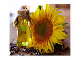 Wholesale Sunflower Oil at Cheap Competitive Prices - foto 2